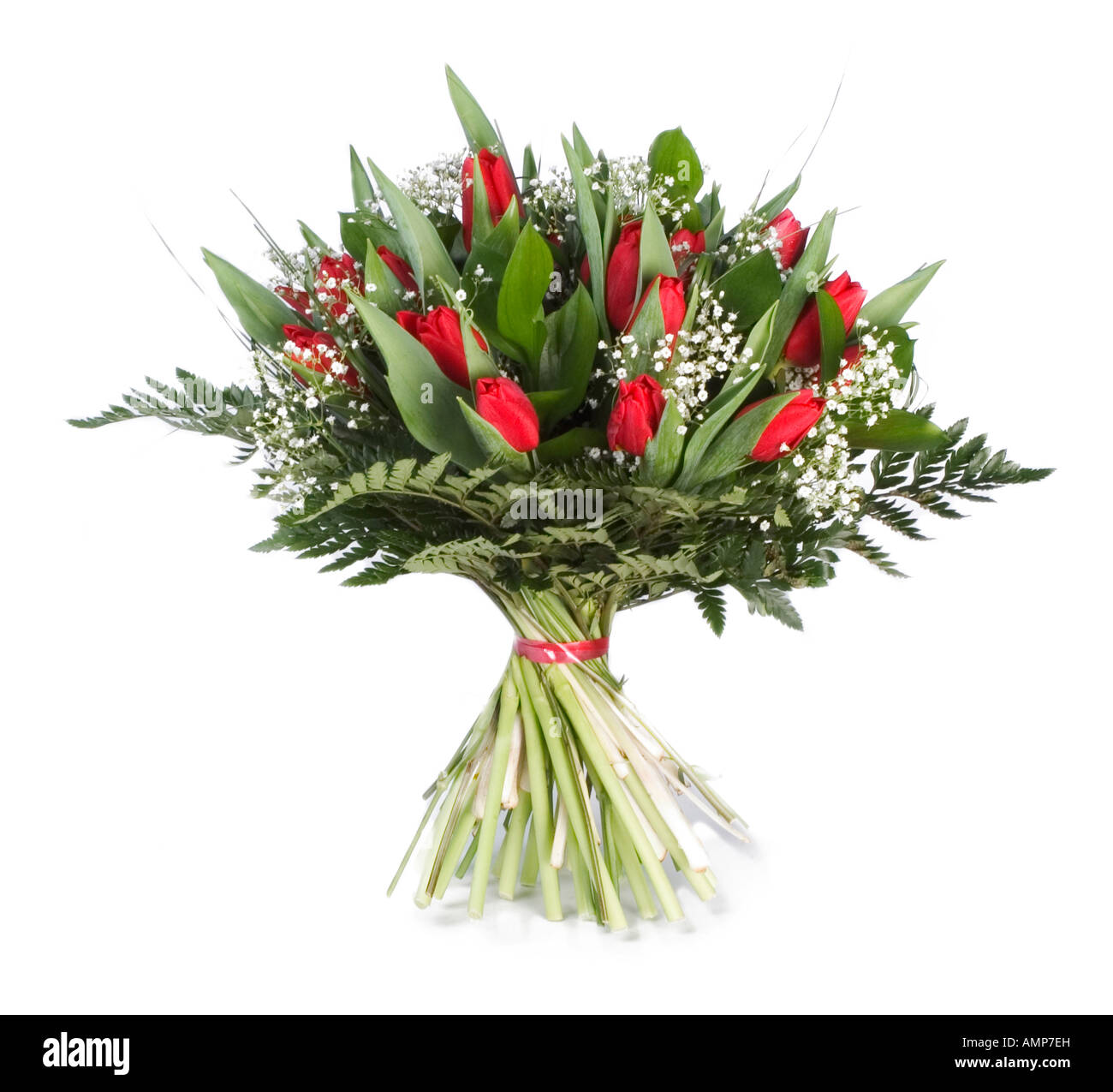 Attraktives Bouquet von kleinen roten Tulpen, Farne und Engelshaar Stockfoto