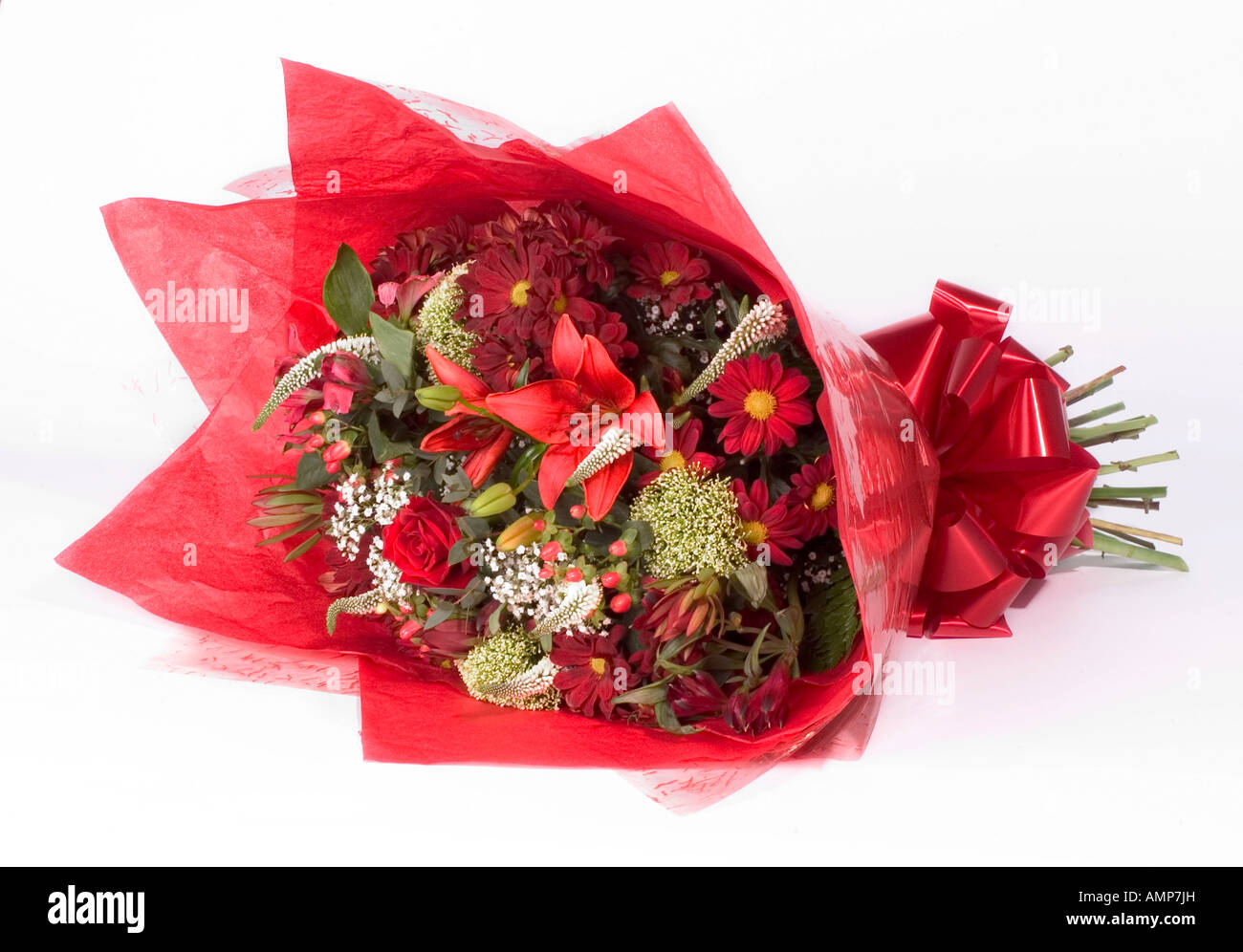 Attraktives Bouquet von kleinen roten Tulpen und Engelshaar eingewickelt in rotem Papier mit rotem Band Stockfoto