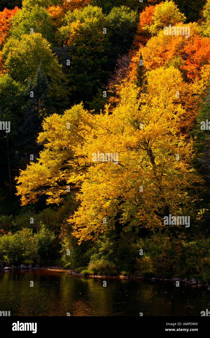 Herbstfarben am Ufer des Rivière Jacques-Cartier, Jacques Cartier Fluß, im Parc de la Jacques-Cartier, Quebec, Kanada. Stockfoto