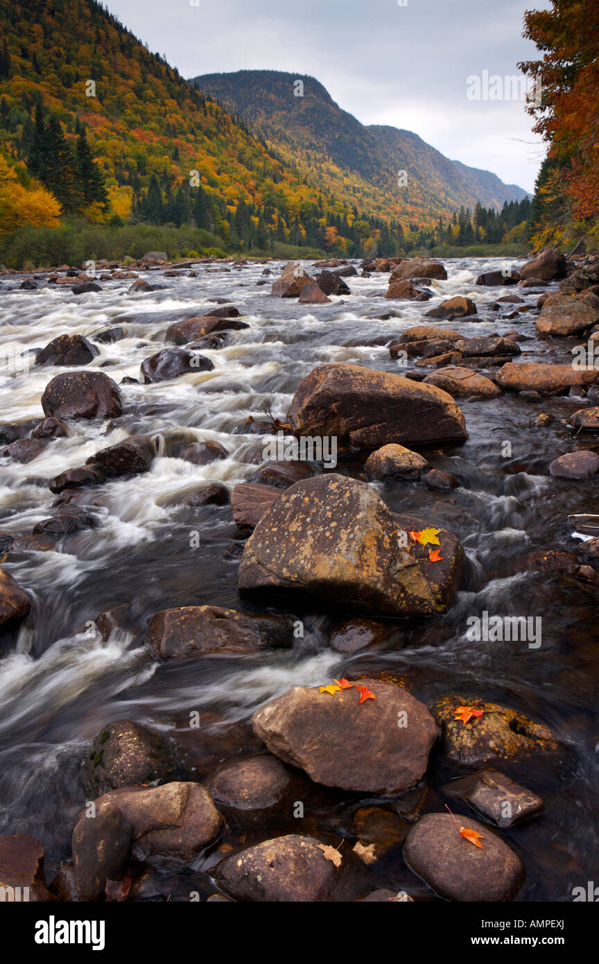 Stromschnellen entlang Riviere Jacques-Cartier, Jacques Cartier Fluß im Parc De La Jacques-Cartier, Quebec, Kanada. Stockfoto