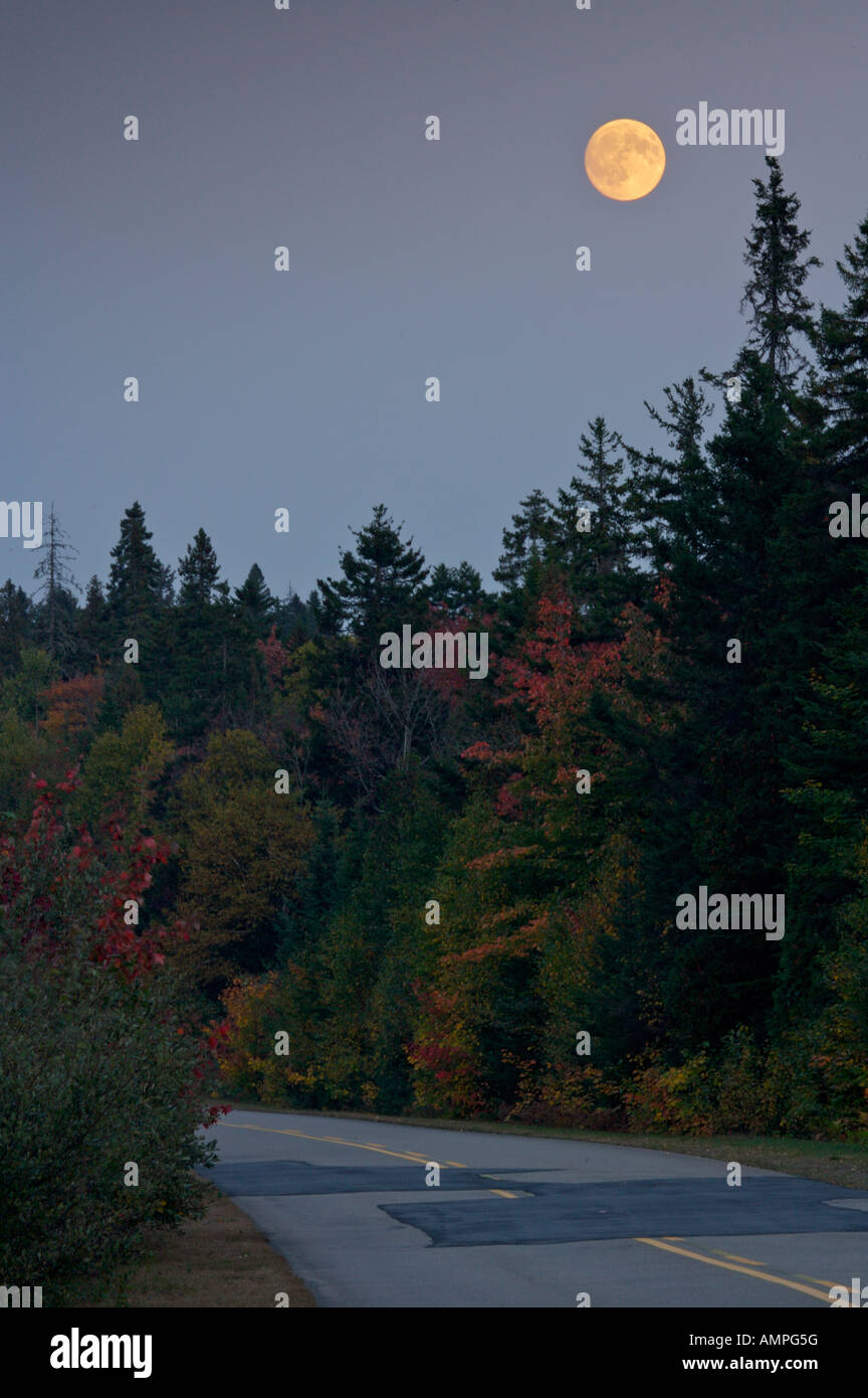 Vollmond gesehen aus entlang der Parkway im La Mauricie National Park, Stadt, Quebec, Kanada. Stockfoto