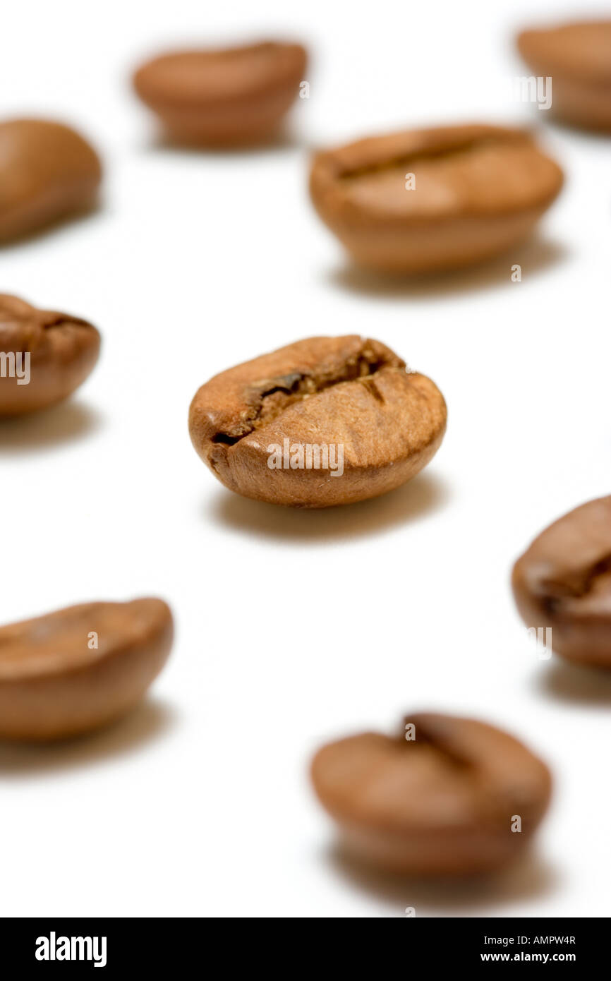 Ein paar Kaffeebohnen Stockfoto