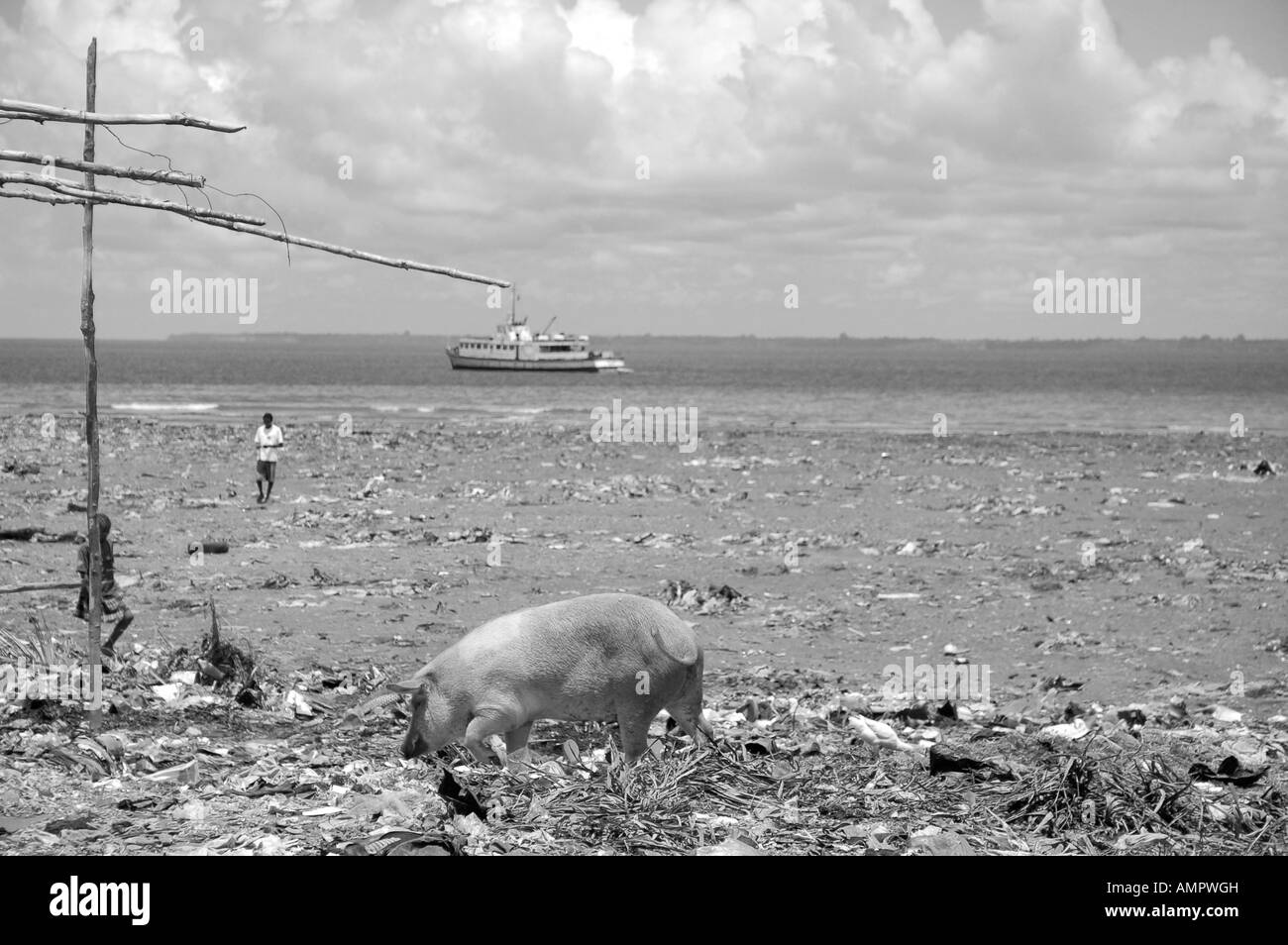Neu gewonnenem Land mit Müll Stockfoto
