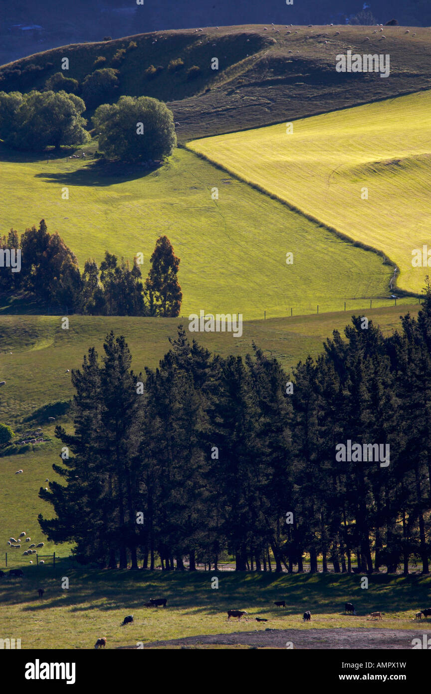 Paddocks und Ackerland in der Kawarau River Valley in der Nähe von Crown Range Road, Central Otago, Queenstown, Südinsel, Neuseeland. Stockfoto