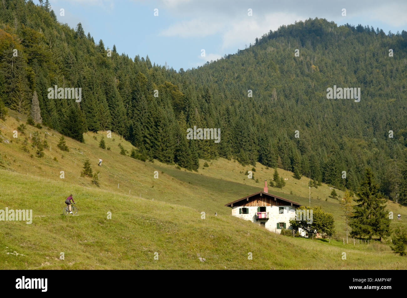 Berghütte auf einer Wiese in der Nähe von Reit Im Winkl Upper Bavaria Germany Stockfoto