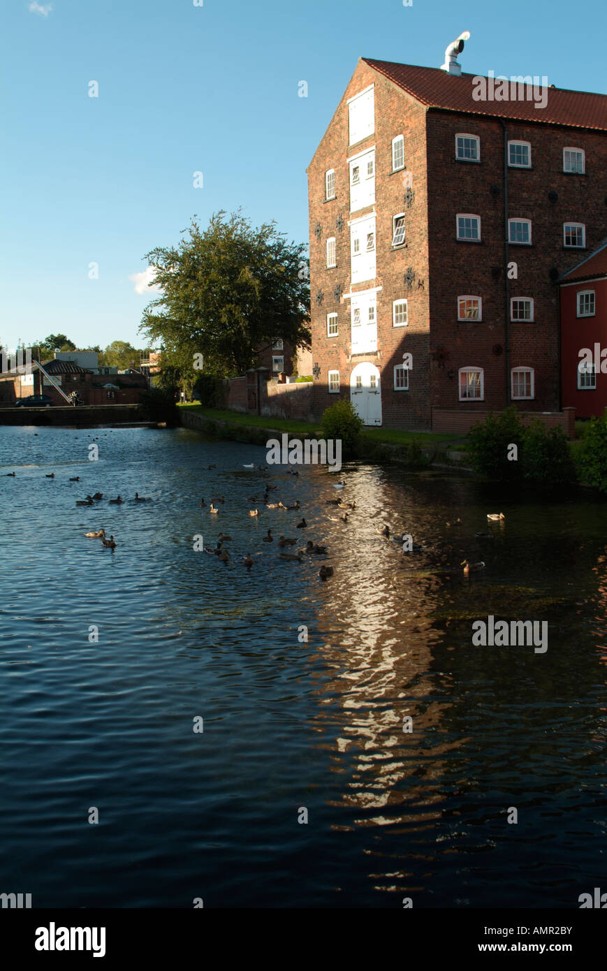 Fluss Kopf Driffield Stockfoto