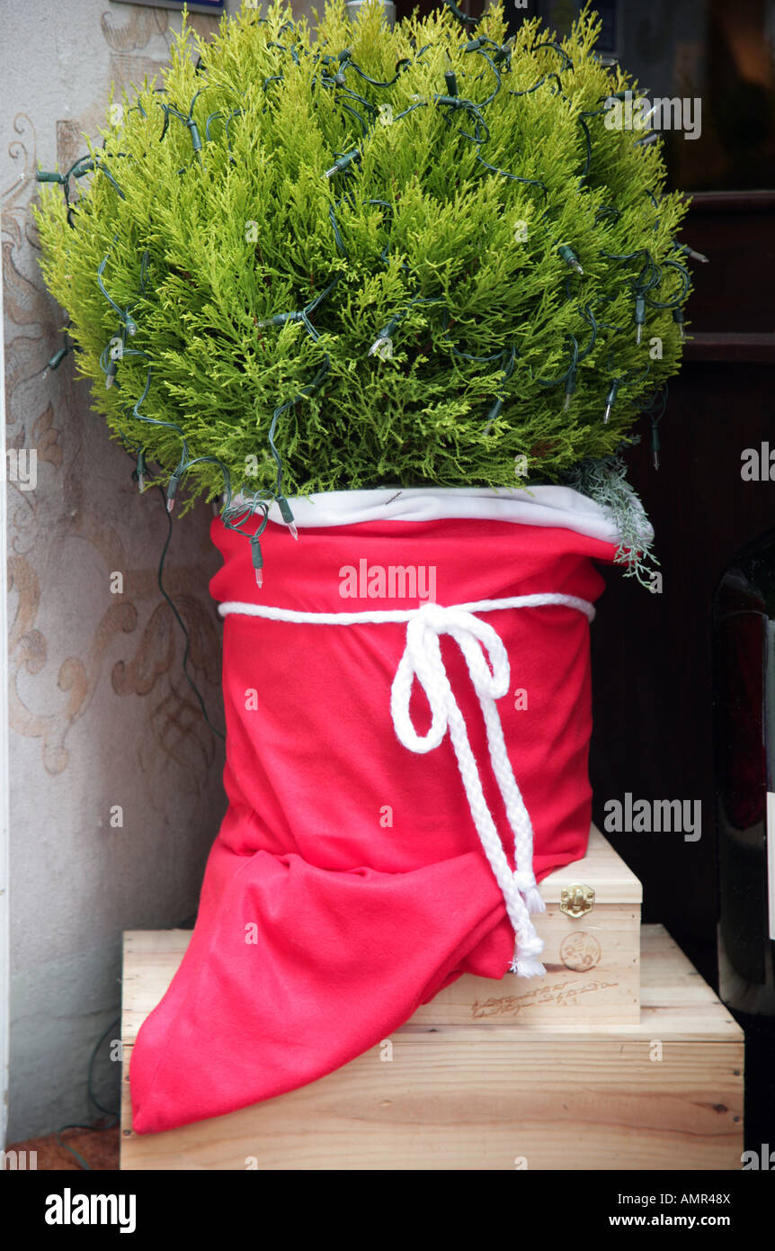Topf Pflanze Nadelbaum dekoriert fr Weihnachten Zrcher Altstadt  Stockfotografie - Alamy