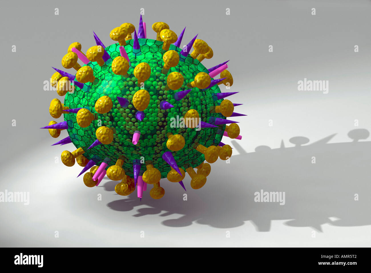 Vogelgrippe-Virus Stockfoto