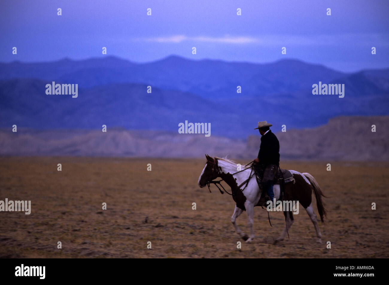 Native American Cowboy Reiten seine Farbe Pferd vornehmen einer Weide im Morgengrauen Stockfoto