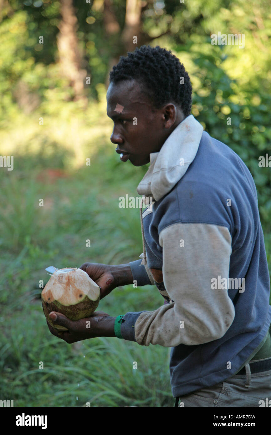 Ein junger afrikanischer Mann Vorbereitung einer frisch gepflückten Kokosnuss auf einer kleinen Gewürz-Farm in Sansibar Tansania Afrika. Stockfoto