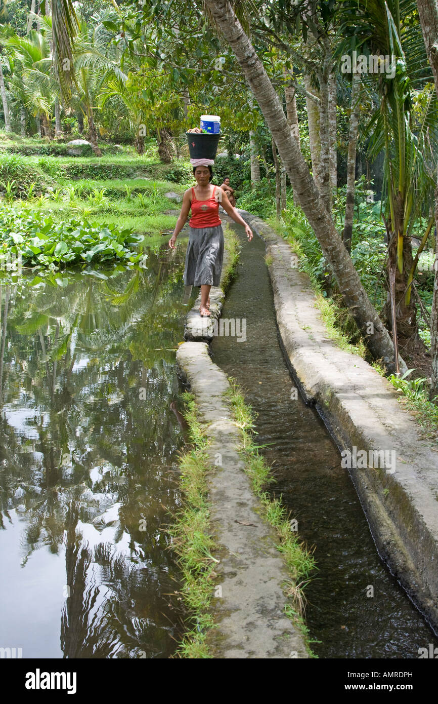 Frau zu Fuß entlang Bewässerung Aquaduct Bali Indonesien Stockfoto