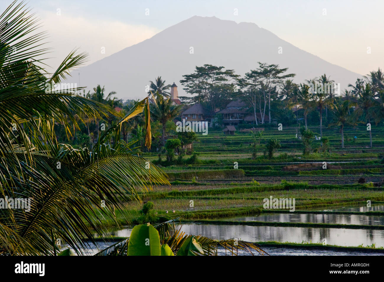 Reis Terrasse Bereich Gunung Agung Vulkan Ubud Bali Indonesien Stockfoto