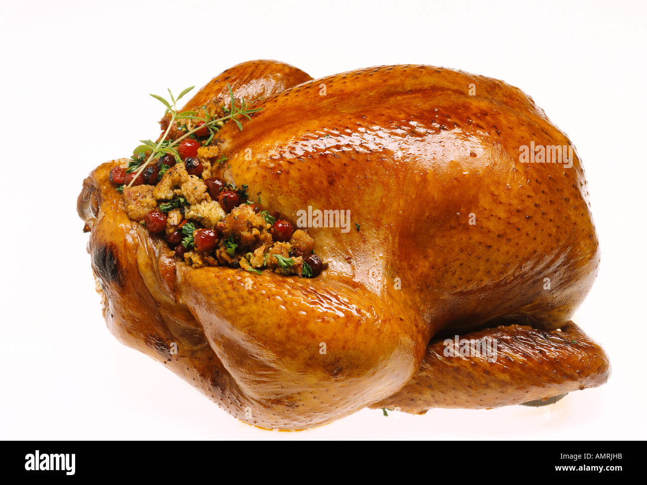 Truthahn mit Cranberry Füllung Stockfoto