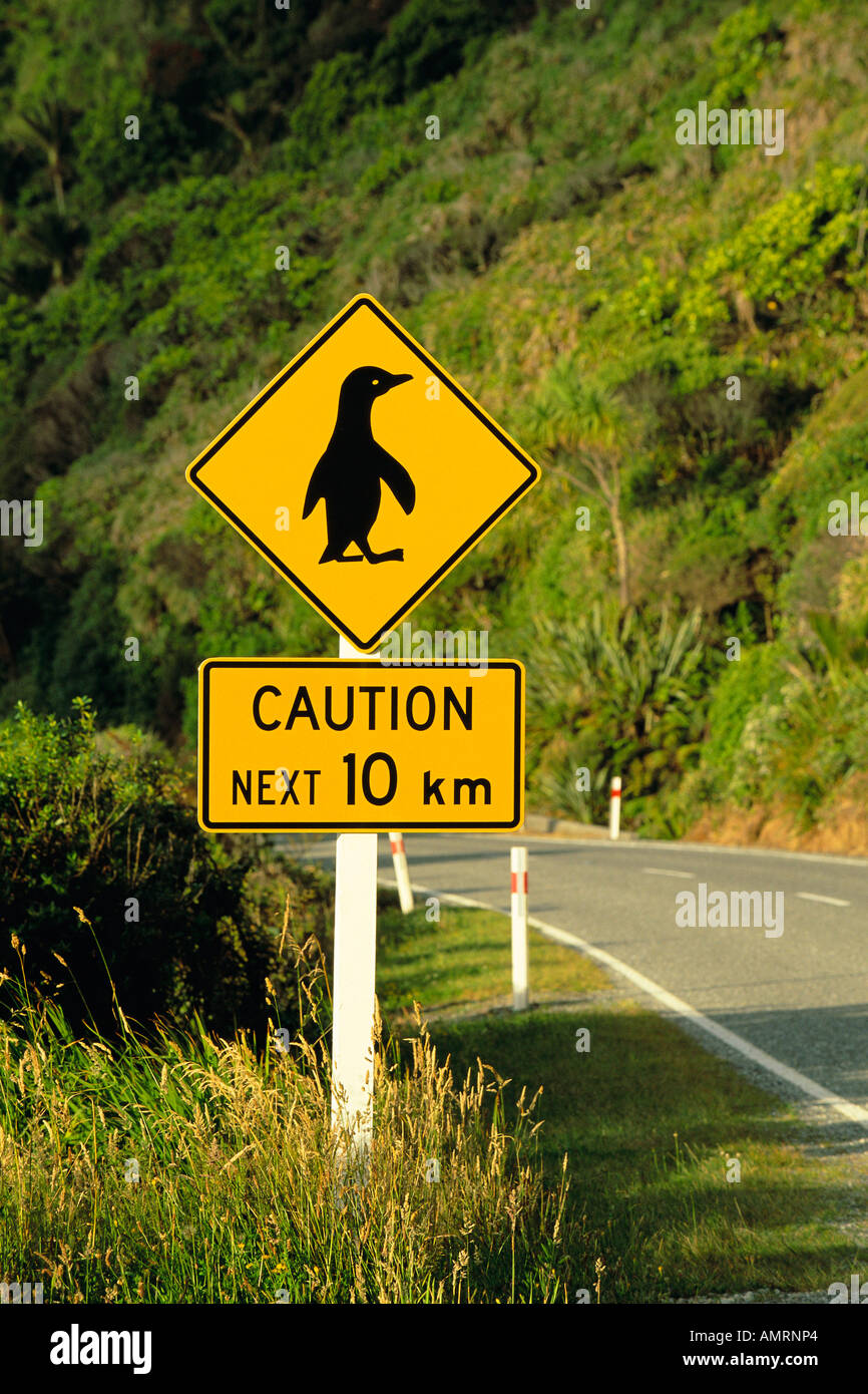 Pinguin überqueren Zeichen, Paparoa-Nationalpark, Südinsel, Neuseeland Stockfoto