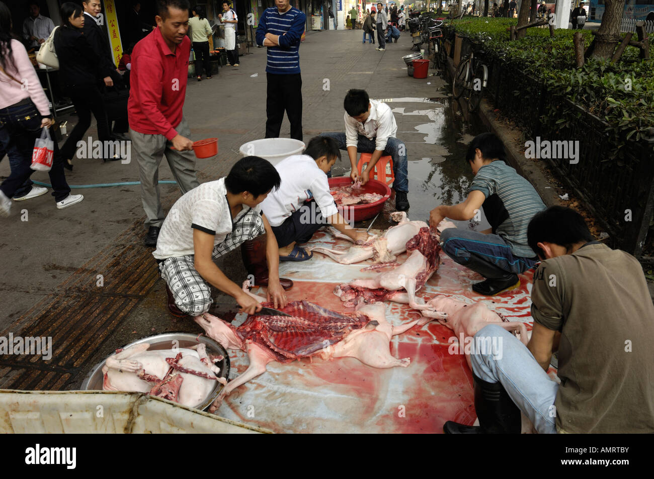 Personal im Restaurant Schlachtung Hunde auf der Straße in Wuhan, Hubei China 20. Oktober 2007 Stockfoto