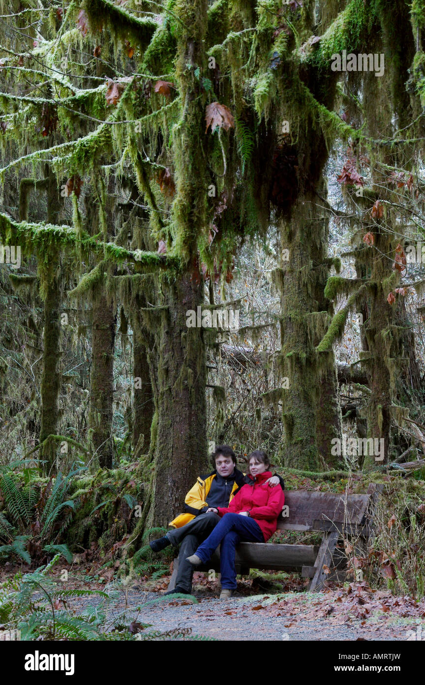 Olympic Nationalpark, Hoh Regenwald, Washington, USA, Nordamerika. -Modell veröffentlicht. Stockfoto