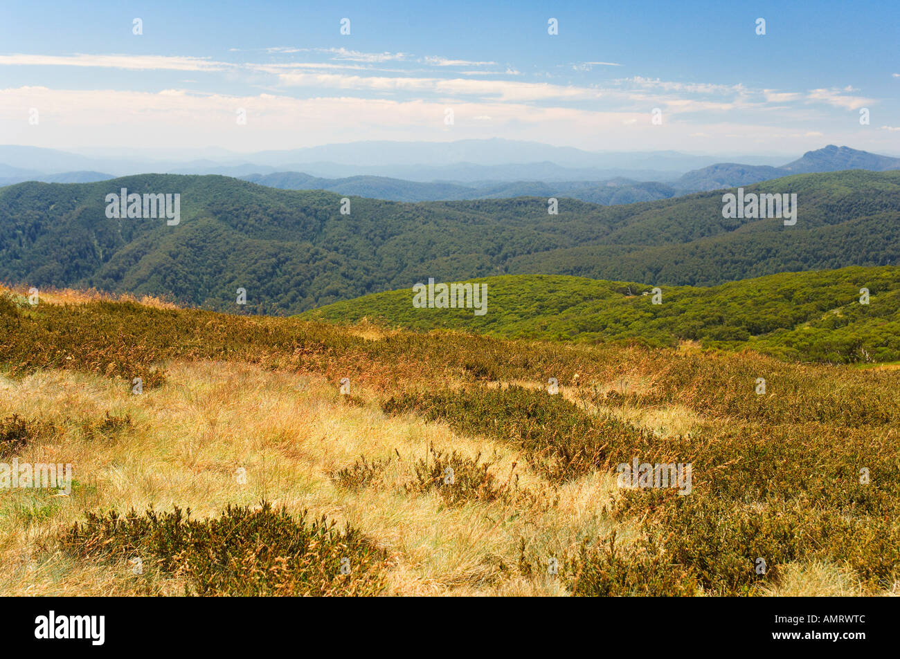 Australischen Alpen, Victoria, Australien Stockfoto