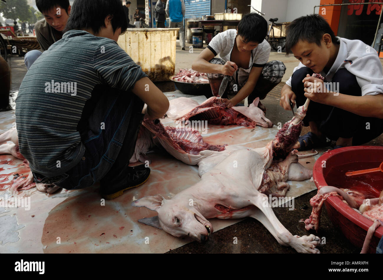 Personal im Restaurant Schlachtung Hunde auf der Straße in Wuhan, Hubei China 20. Oktober 2007 Stockfoto
