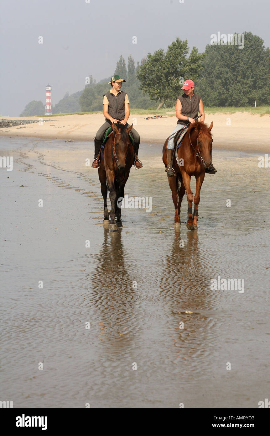 Reiter am Ufer des Flusses Elbe, Hamburg, Deutschland Stockfoto