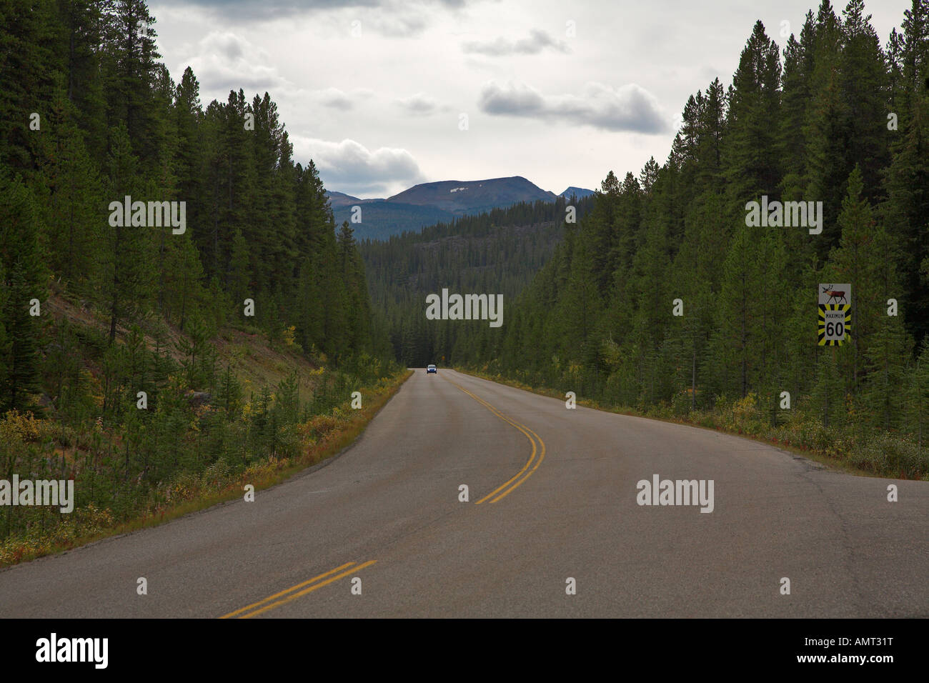 Eine Autobahn in einem Wald in der Dämmerung Stockfoto