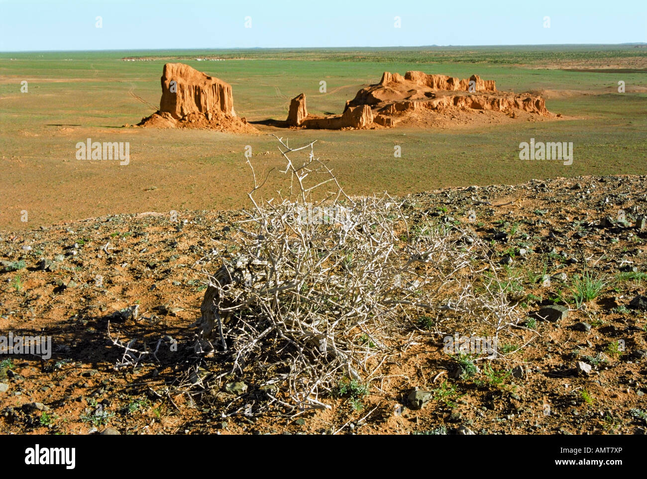Getrocknete Busch von Tumbleweed und Erosion Formationen von Braun sedimentären Mineralien. Bayan Zag, südliche Wüste Gobi, Mongolei Stockfoto