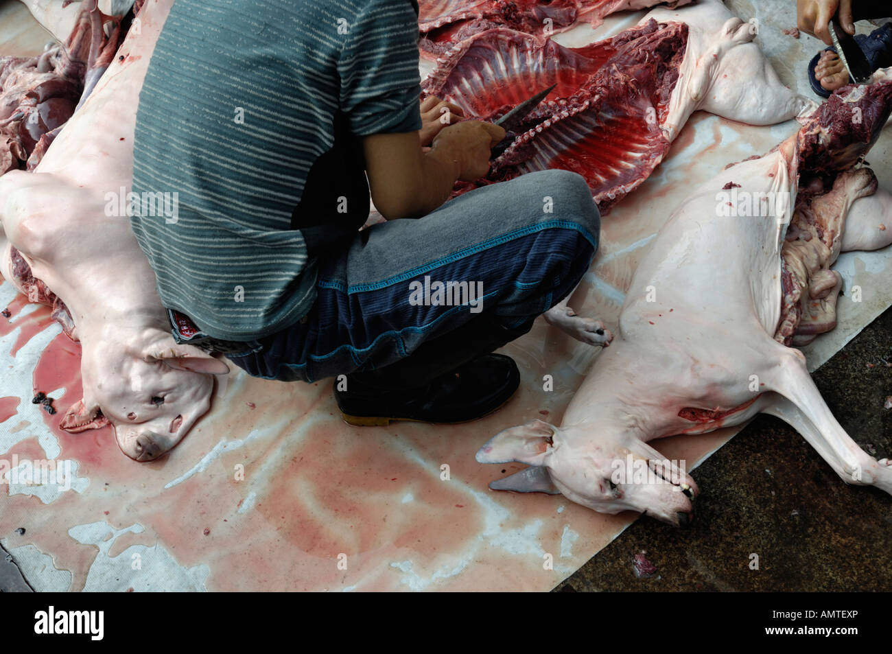 Personal im Restaurant Schlachtung Hunde auf der Straße in Wuhan, Hubei China 20. Oktober 2007 Stockfoto