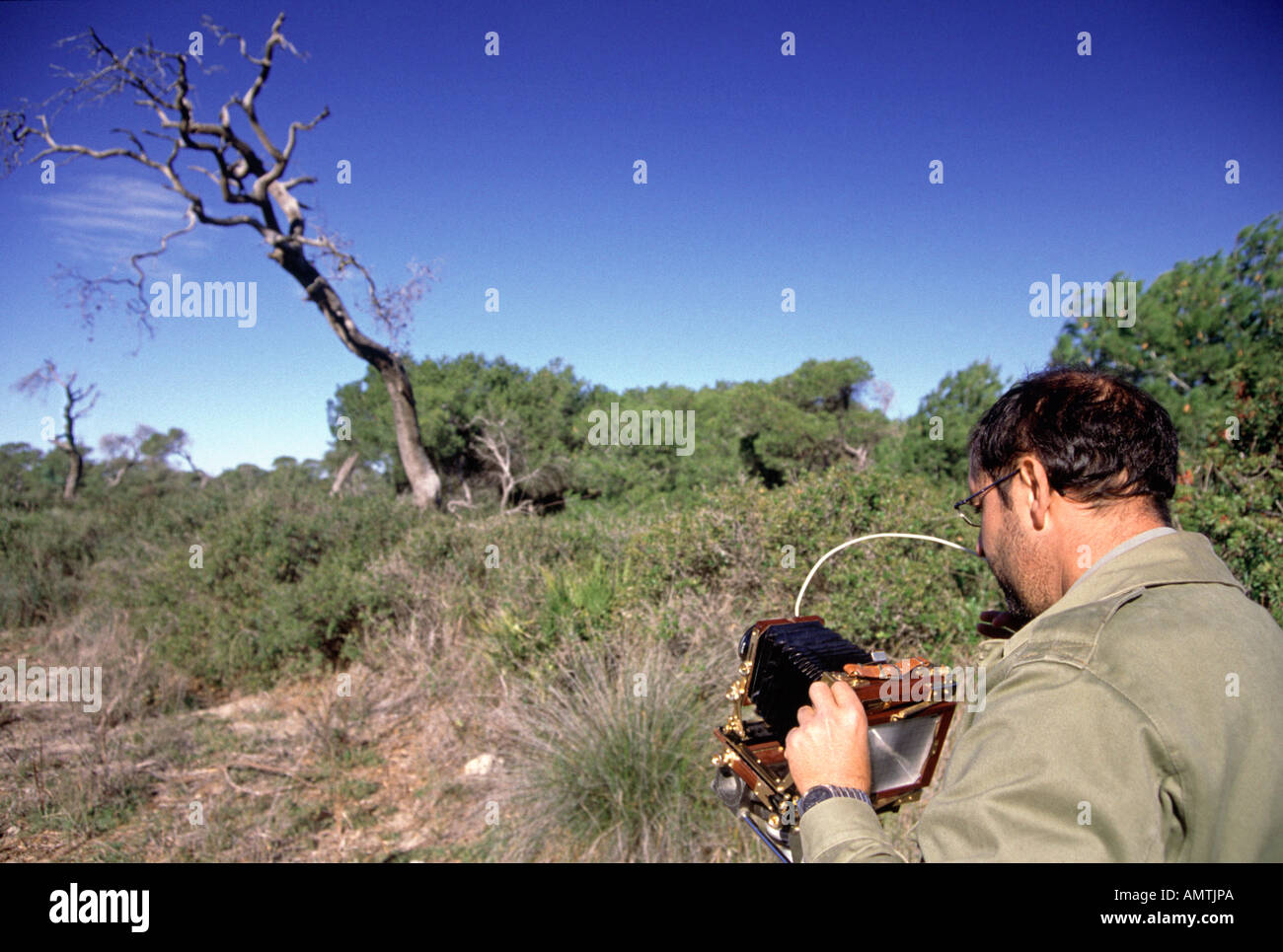 Naturfotograf arbeitet mit einer Großformat-Kamera Stockfoto