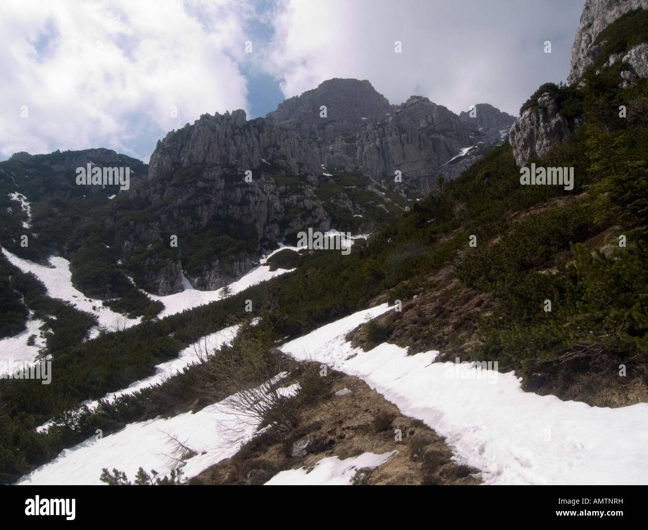 Sernio Berg Alpen Karnischen Alpen Italien Stockfoto
