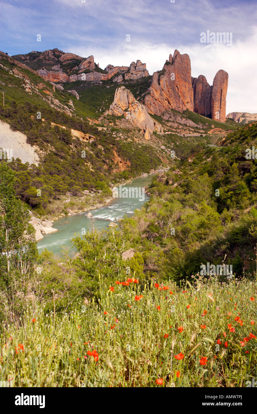 Roten Felsformationen genannt Mallos de Riglos in der Nähe von Aguero über den Fluss Gallego, Huesca, Aragon, Spanien, Europa. Stockfoto
