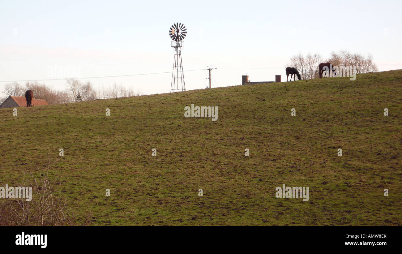 Wind-Pumpe auf einer Farm in wiltshire Stockfoto