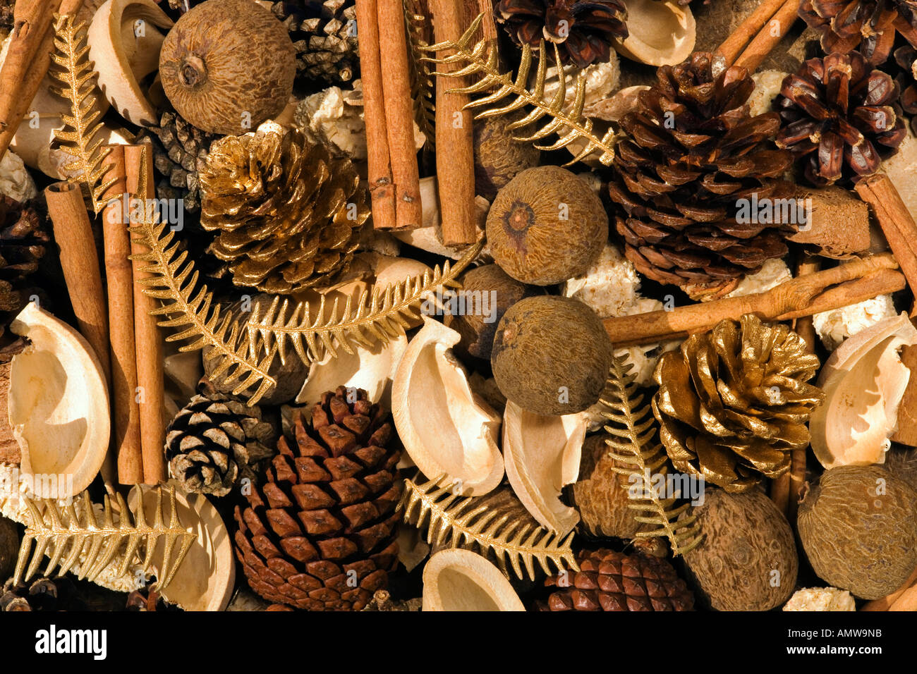 Weihnachtsschmuck aus verschiedenen Nüssen, Gewürzen und Tannenzapfen Stockfoto