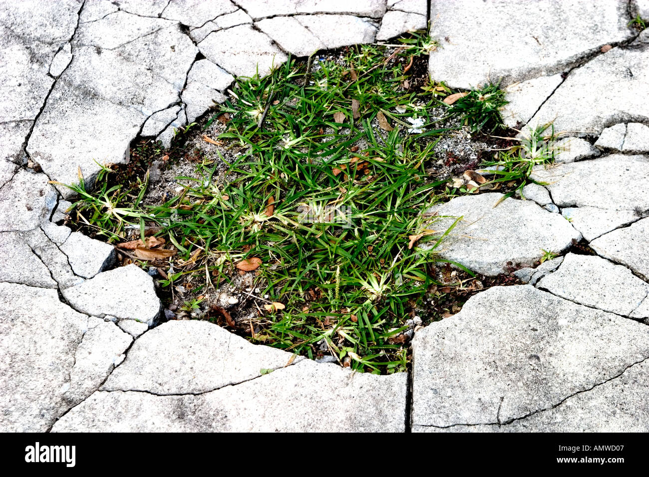 Bürgersteig New Orleans Stockfoto