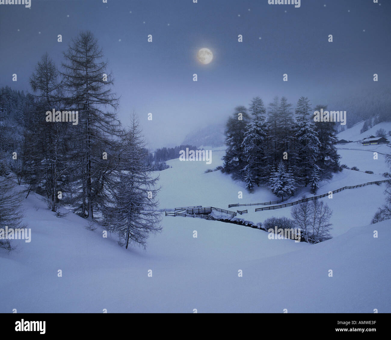 AT - TYROL: Winterscene in der Nähe von Obernberg Stockfoto