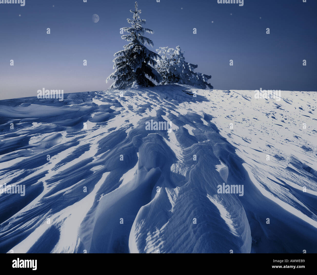 DE - Bayern: Winter im Allgäu Stockfoto