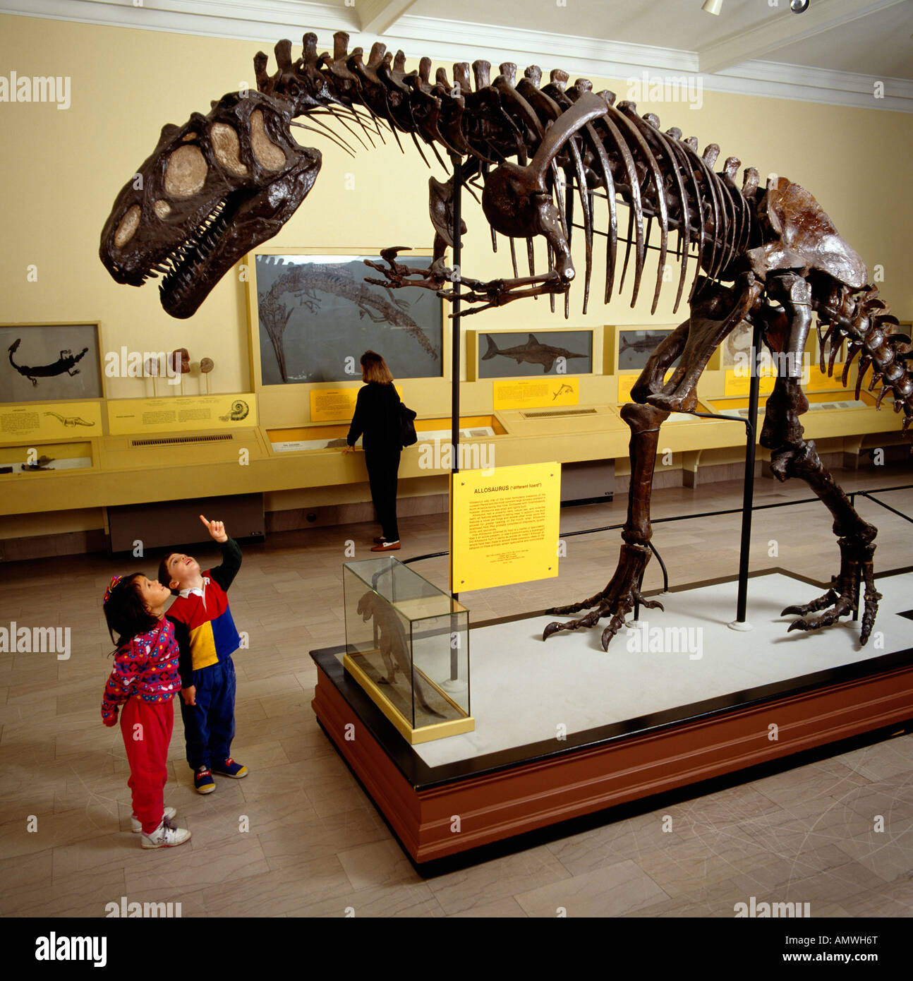 Sauriersaal an das Carnegie Museum Of Natural History, Pittsburgh, Pennsylvania, USA Stockfoto