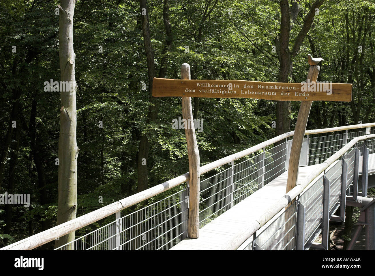 Hinweisschild auf dem Baumzipfelweg im Nationalpark Hainich, Deutschland, Thüringen Stockfoto