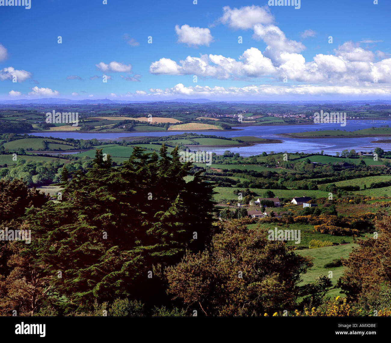 Quoile Mündung, Co. Down, Nordirland Stockfoto