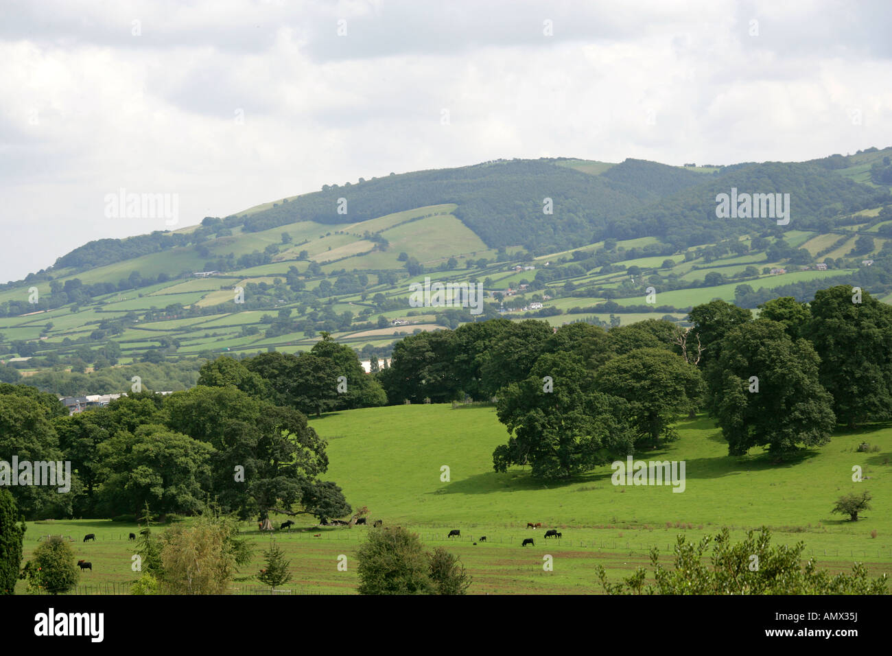 Blick über den Severn Valley von Powys Burg in Richtung der Shropshire Hügel Montgomeryshire Mitte Wales Stockfoto