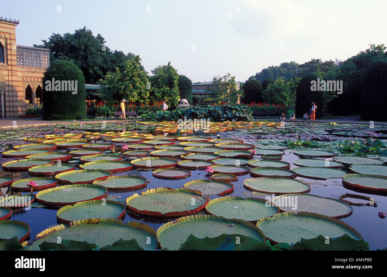 Wilhelma zoo und botanische gärten Fotos und Bildmaterial in hoher