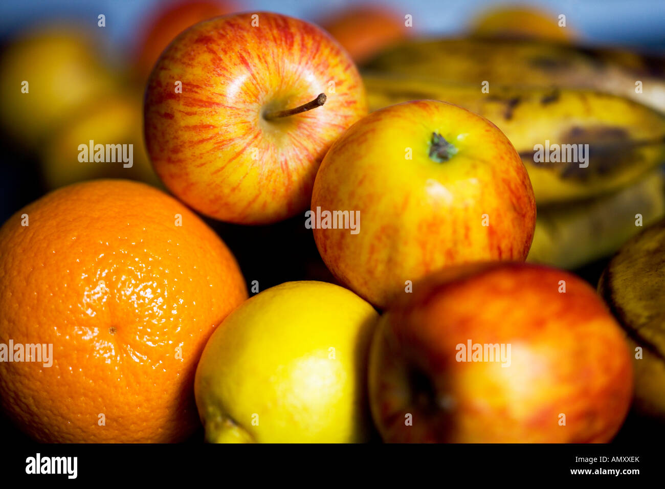 Äpfel, Orangen, Zitronen und Bananen Stockfoto
