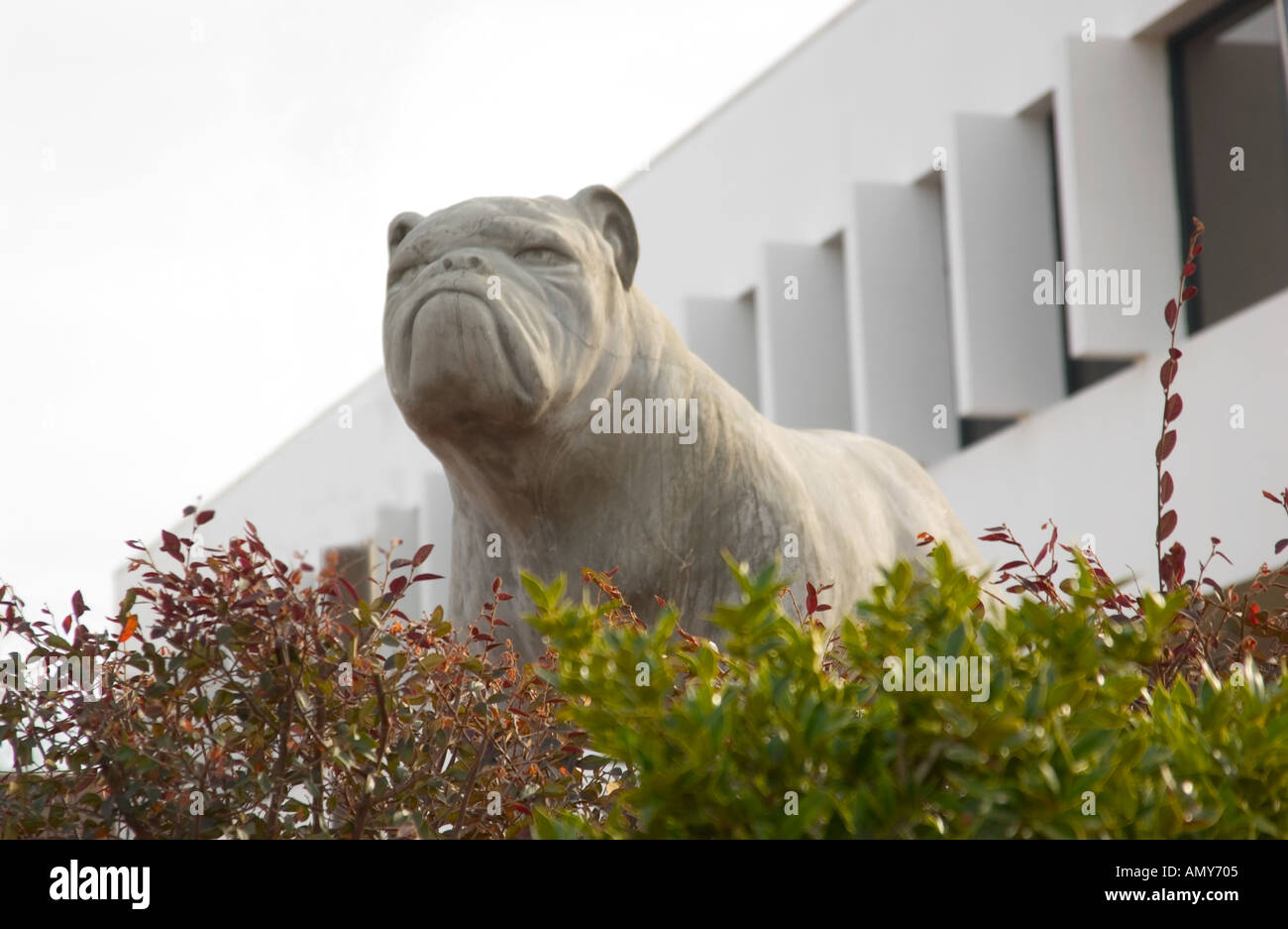 Bulldogge Statue an der South Carolina State University Jonesboro USA Stockfoto