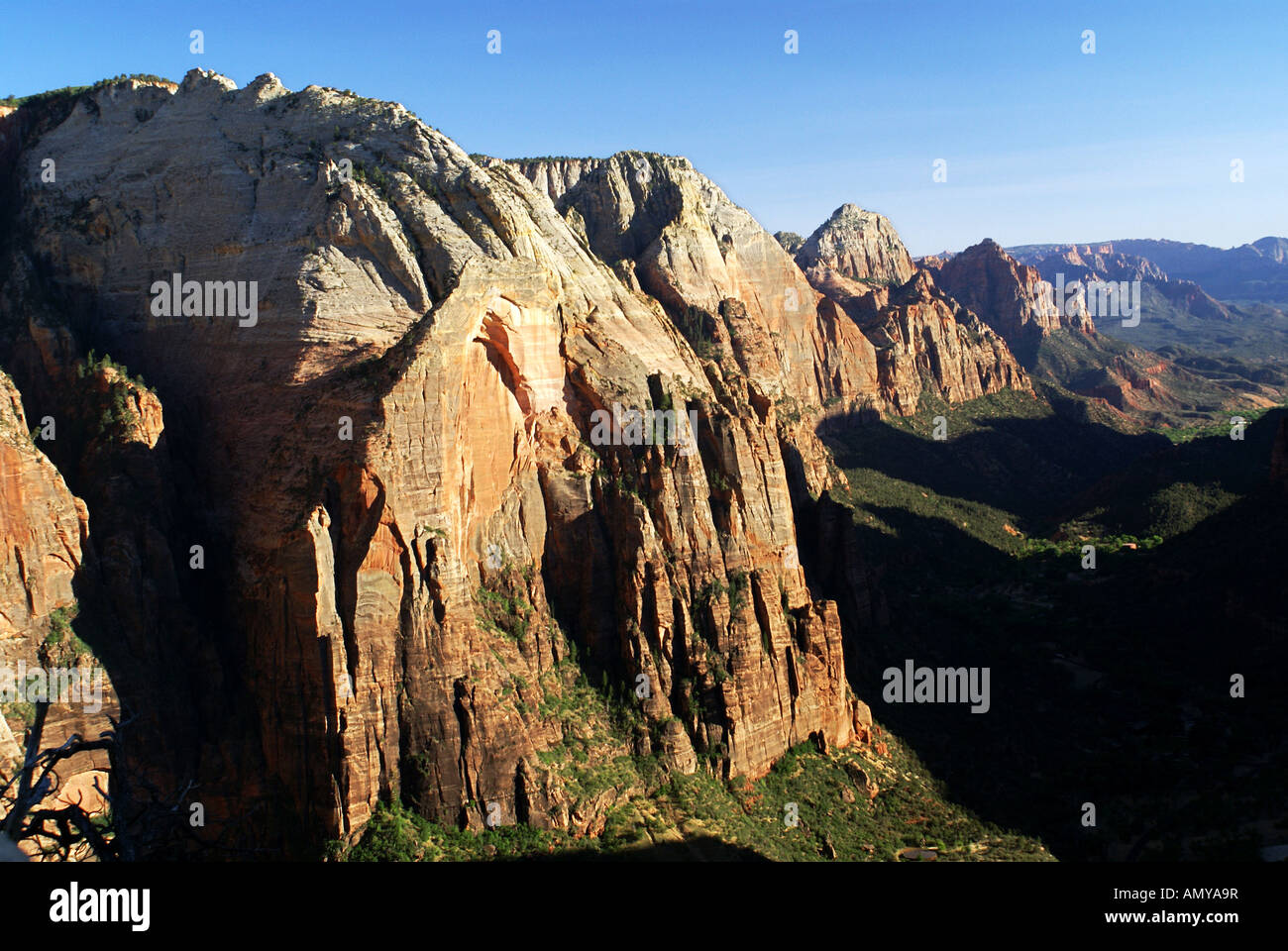 Zion Nationalpark Stockfoto