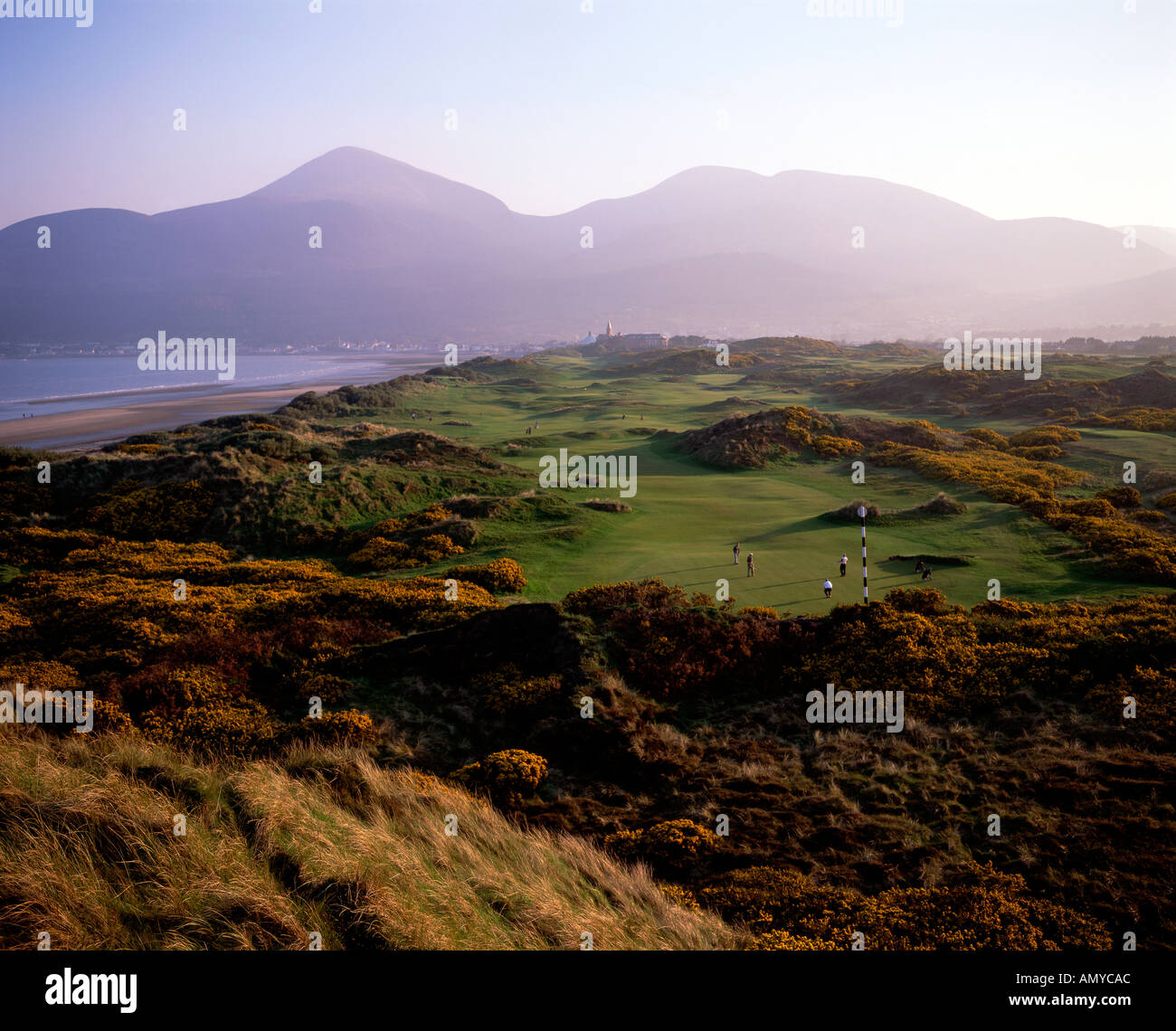 Royal County Down Golf Club, Nordirland Stockfoto