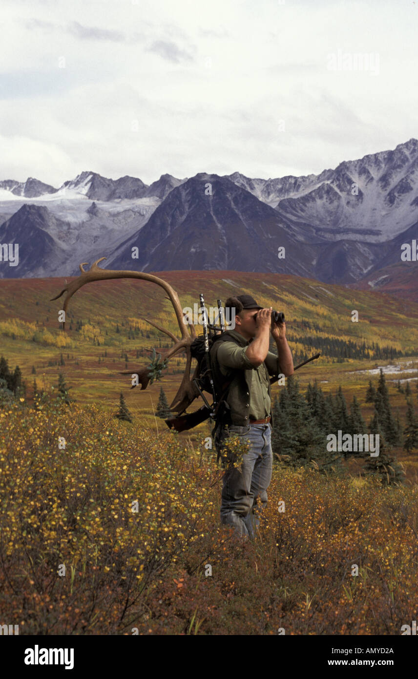 Blick durch ein Fernglas Verpackung Geweih Alaska Range Hunter Stockfoto