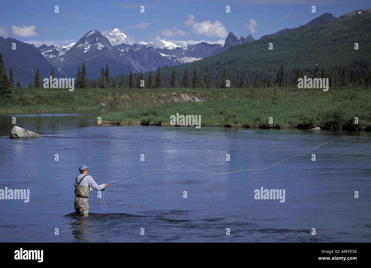 Mann Fly Fishing Upper Lake Creek innen Alaska Stockfoto