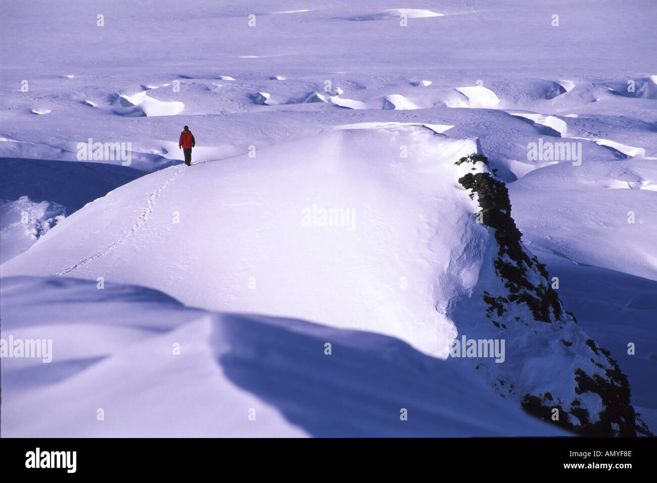 Ruth Gletscher Alaska Range Int AK Winter Wanderland Stockfoto