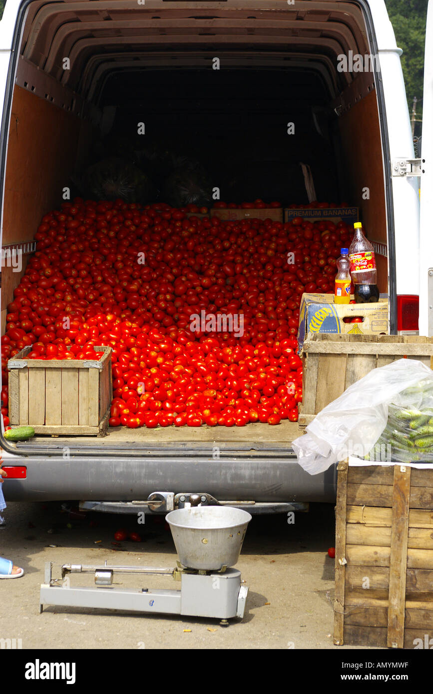 Tomaten in einem van Obstmarkt in einer armen Stadt in die Walachei und Siebenbürgen in Rumänien Stockfoto