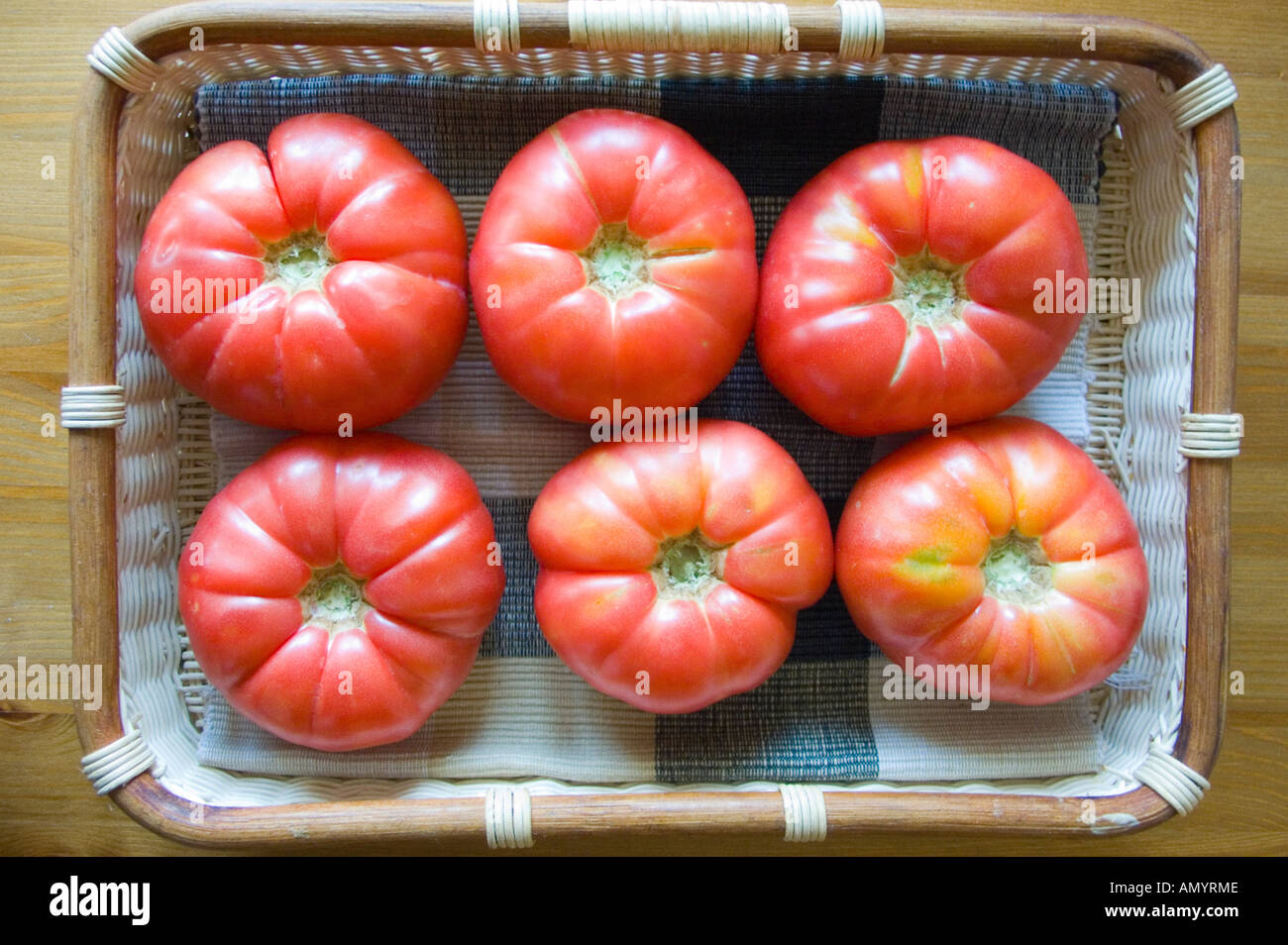 Reife große Tomaten in den Korb Solanum lycopersicum Stockfoto