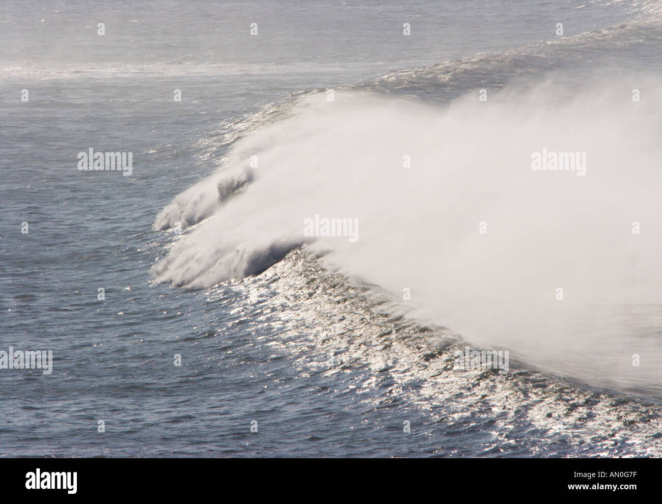 Halb Ringmauer von Surfwelle rollt in Saunton Sands Bay mit off Shore-Wind weht Spray North Devon England Stockfoto
