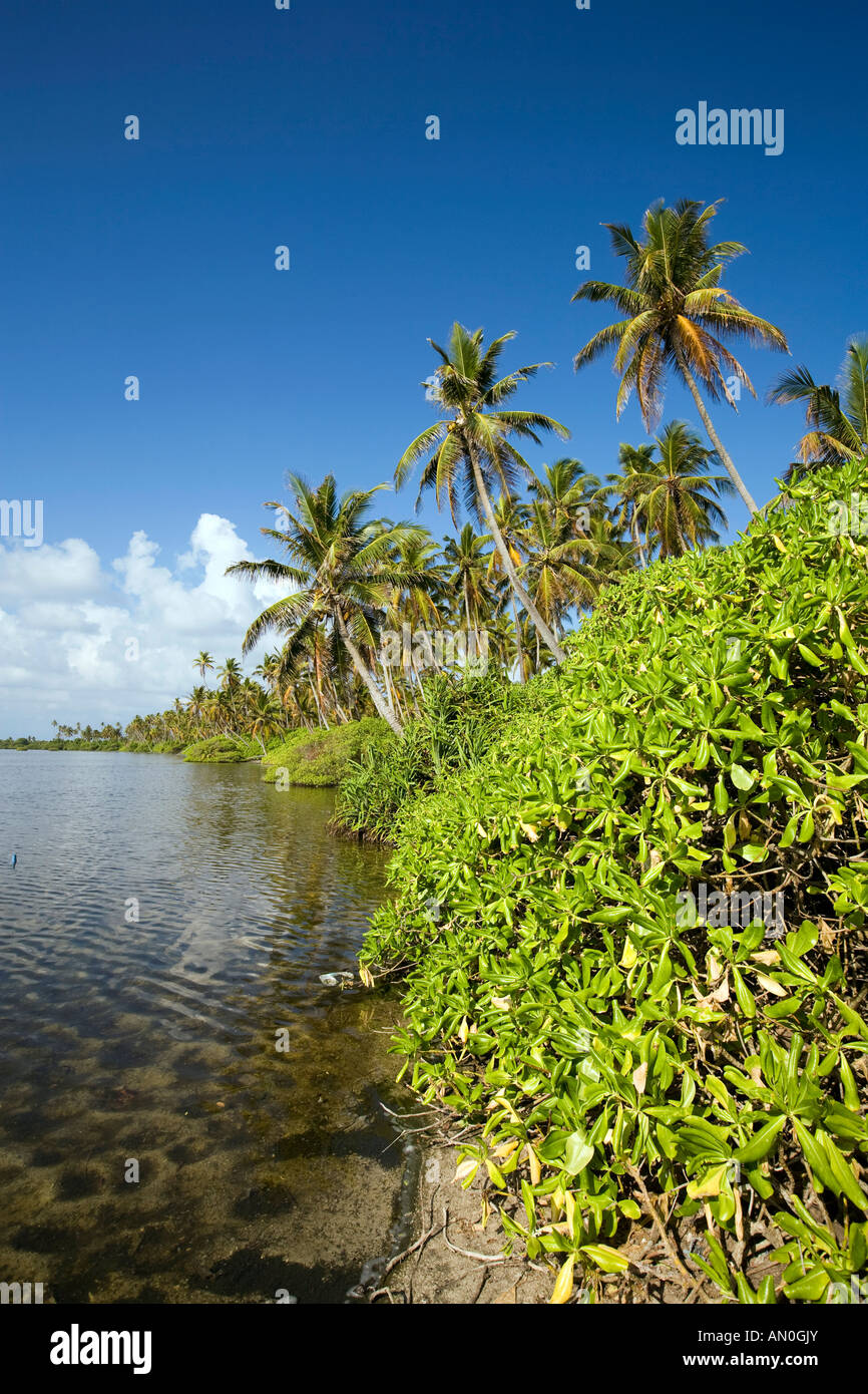 Malediven Malediven Addu Atoll Hitaddu Mulekede Eehigali Kilhi größte Süßwassersee Stockfoto